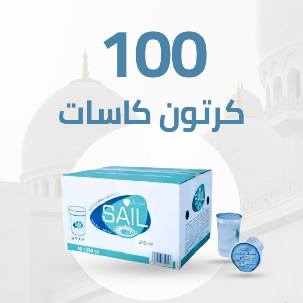 عرض مياه سيل كاسات 100 كرتون – 250 مل × 40 عبوة – متجر أكويا للمياه في الرياض